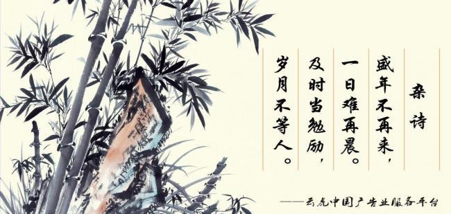 辦公室風(fēng)水?dāng)[件，助你事業(yè)風(fēng)生水起